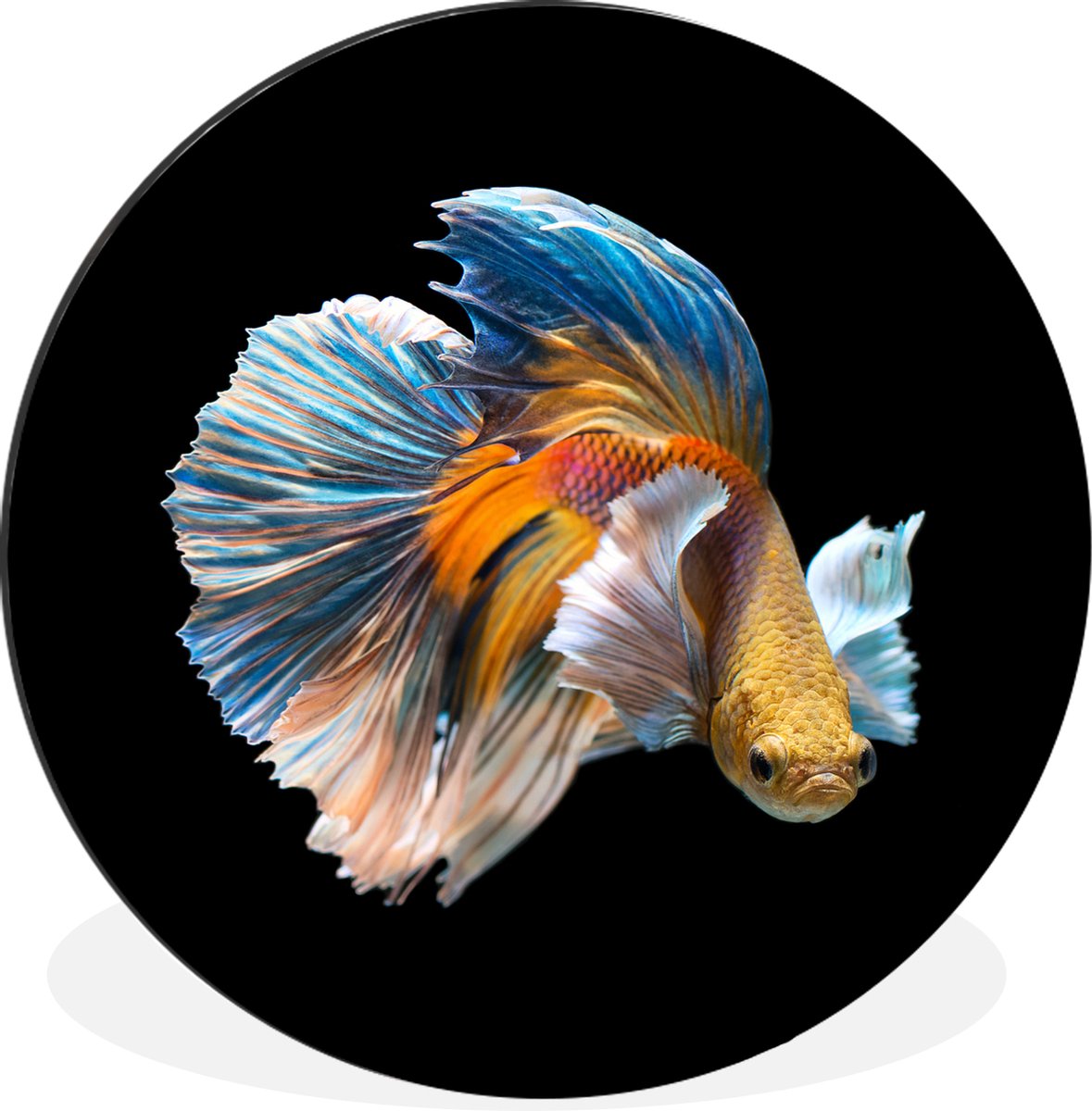 Poisson en Plastique Bol Clair Poisson Garde-Chien Petit Aquarium