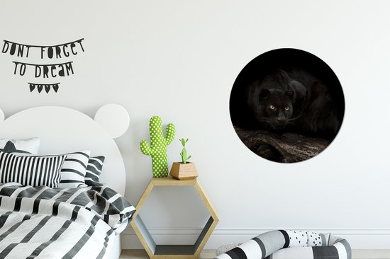 Panthère noire dans une forêt sombre cercle mural aluminium ⌀ 60 cm - impression photo sur cercle mural / cercle vivant / cercle de jardin (décoration murale)