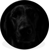 WallCircle - Wandcirkel - Muurcirkel - Hond - Zwart - Labrador - Aluminium - Dibond - ⌀ 60 cm - Binnen en Buiten