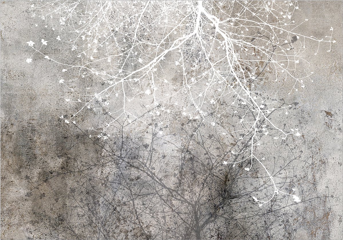 Fotobehangkoning - Behang - Vliesbehang - Fotobehang Takken op Beton - Clear Branching - 450 x 315 cm