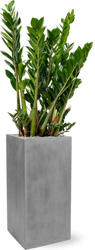 Hollyone 30CM Fake Zamioculcas Zamiifolia in Black Matt Pot, Artificial