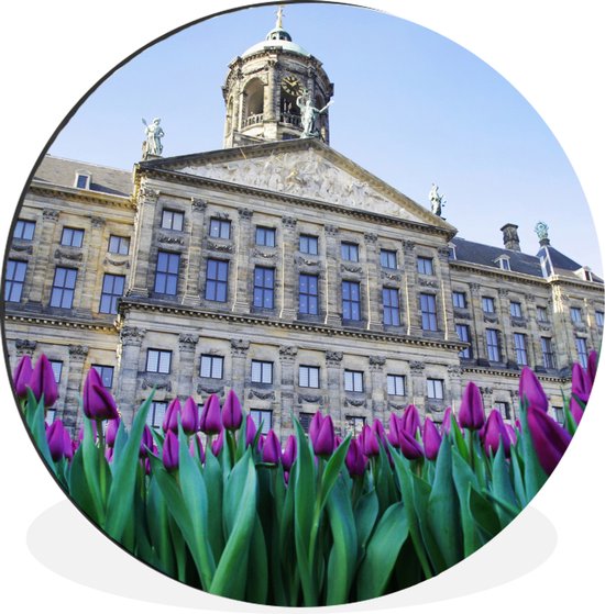 Les tulipes poussent devant le palais sur la place du Dam - Cercle mural d' Amsterdam en aluminium