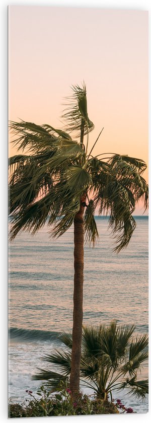 WallClassics - Acrylglas - Hoge Palmbomen bij Zee - 40x120 cm Foto op Acrylglas (Wanddecoratie op Acrylaat)