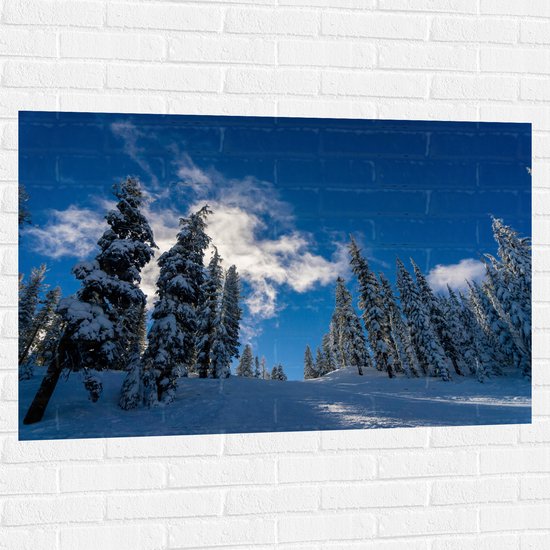 WallClassics - Muursticker - Hoge Smalle Bomen in de Sneeuw met Zon - 120x80 cm Foto op Muursticker
