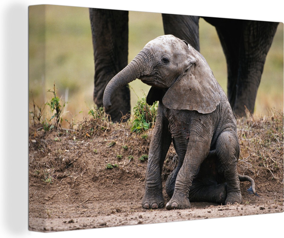 Canvas Schilderij Zittende baby olifant - Jongens - Meisjes - Kinderen - Kind - 90x60 cm - Wanddecoratie