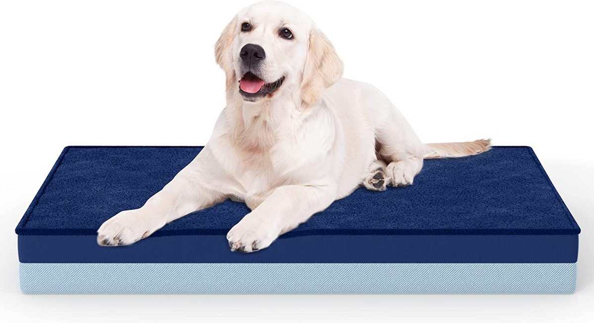 Flightmode - UTTU Hondenbed voor kleine honden, zacht kussen met wasbare overtrek, orthopedisch, waterdicht matras voor extra ondersteuning (M)