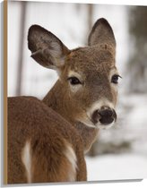 WallClassics - Hout - Hertje in de Sneeuw - 75x100 cm - 12 mm dik - Foto op Hout (Met Ophangsysteem)