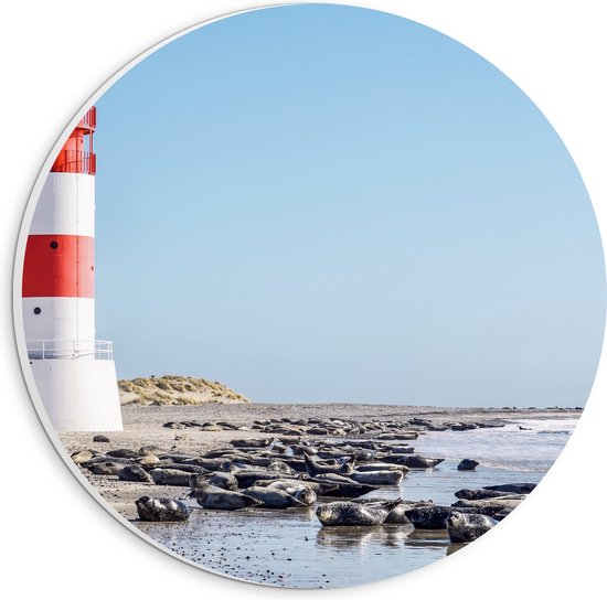 WallClassics - PVC Schuimplaat Muurcirkel - Vuurtoren met Rotsen aan de Zee - 20x20 cm Foto op Muurcirkel (met ophangsysteem)