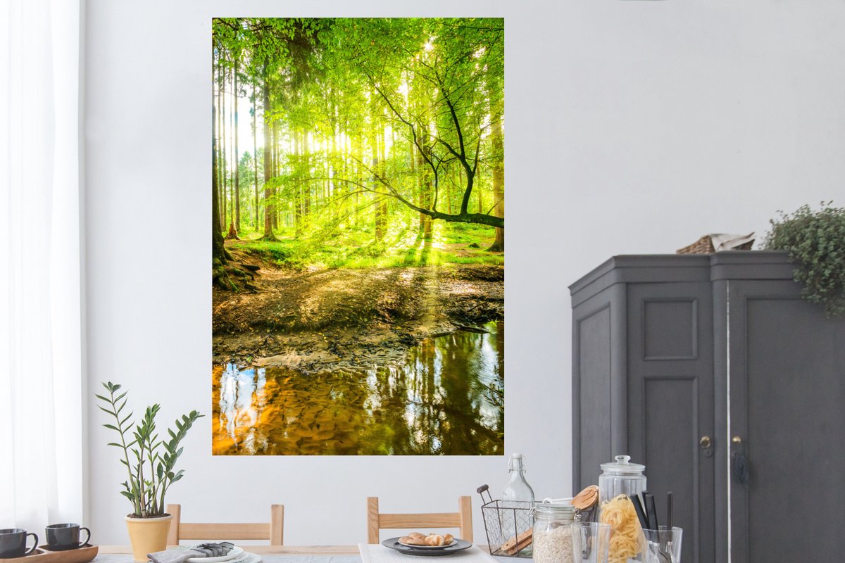 Poster Forêt - Paysage - Water - Arbres - Soleil - Vert - Nature