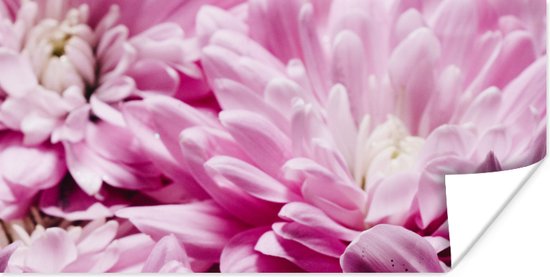 Poster Bloemen - Roze - Natuur - 120x60 cm