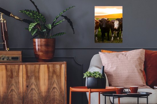 Affiche Vaches - Collines - Coucher de soleil - 30x40 cm