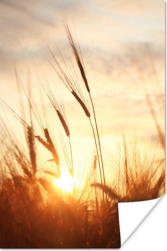 Poster Riet - Gras - Zonsondergang - Natuur - Horizon - 40x60 cm - Kerstversiering - Kerstdecoratie voor binnen - Kerstmis