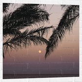 WallClassics - Muursticker - Takken van Boom op Strand met Kleine Zon - 80x80 cm Foto op Muursticker