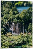 WallClassics - Panneau en mousse PVC – Chutes d'eau depuis les Arbres vers le bas – Photo 60 x 90 cm sur panneau en mousse PVC
