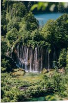 WallClassics - Panneau en mousse PVC - Chutes d'eau depuis les Arbres - 70x105 cm Photo sur panneau en mousse PVC (avec système de suspension)