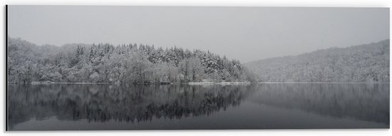 WallClassics - Dibond - Winter Meer - 60x20 cm Foto op Aluminium (Wanddecoratie van metaal)