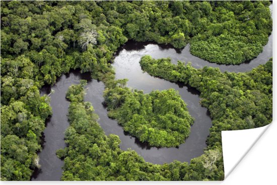 Regenwoud en Amazone Brazilie Poster 180x120 cm - Foto print op Poster (wanddecoratie) XXL / Groot formaat!