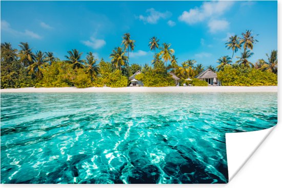 Poster Uitzicht op een strand met palmbomen vanuit het water - 60x40 cm