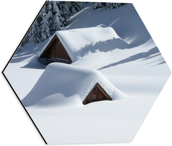 WallClassics - Dibond Hexagon - Ondergesneeuwde Huisjes met Daken - 40x34.8 cm Foto op Hexagon (Met Ophangsysteem)