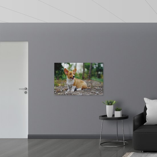 WallClassics - Bois - Chien mignon et doux sur le chemin forestier - 105x70 cm - 12 mm d'épaisseur - Photo sur bois (avec système de suspension)