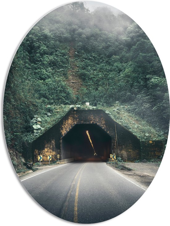WallClassics - PVC Schuimplaat Ovaal - Weg richting Tunnel in Berg - 51x68 cm Foto op Ovaal  (Met Ophangsysteem)