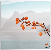 WallClassics - Feuille de Mousse PVC - Feuilles d' Oranje sur Branche pour Montagnes - Photo 50x50 cm sur Feuille de Mousse PVC