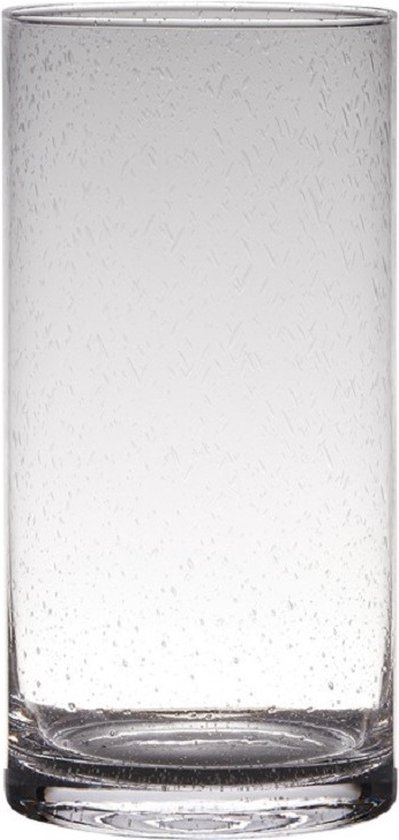 Transparante home-basics Cylinder vorm vaas/vazen van bubbel glas 30 x 15 cm - Bloemen/takken/boeketten vaas voor binnen gebruik