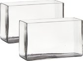 Set van 2x stuks transparante rechthoek accubak vaas/vazen van glas 25 x 10 x 15 cm - Bloemstukje/terrarium vaas