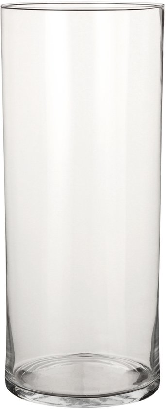 Mica Decorations Vaas - cilinder - helder glas - D19 x H48 cm - Bloemenvaas