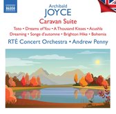 RTÉ Concert Orchestra, Andrew Penny - Joyce: British Light Music, Vol. 13 (CD)