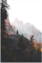 WallClassics - Poster (Mat) - Bomen op Stijle Berg - 50x75 cm Foto op Posterpapier met een Matte look