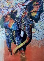 Denza - Diamond painting olifant gekleurd zeer mooi 40 x 50 cm volledige bedrukking ronde steentjes direct - olifant - dier - uniek - elefant