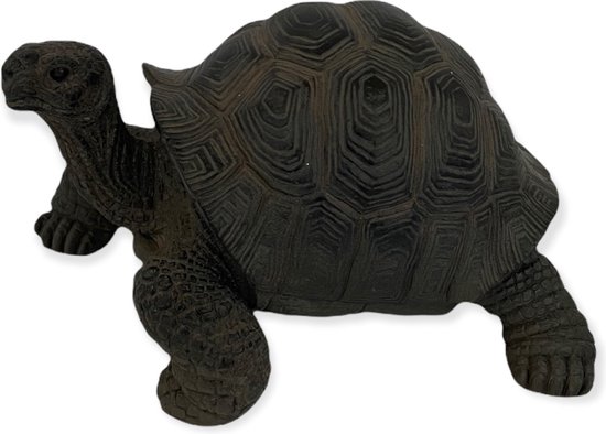 Schildpad - Decoratie - Beeld - Antraciet/zwart - Polystone - 17x12x9cm