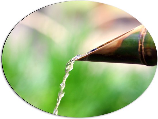 WallClassics - Dibond Ovaal - Water uit Bamboe - 68x51 cm Foto op Ovaal (Met Ophangsysteem)