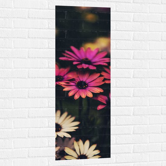 WallClassics - Muursticker - Roze-Witte Bloemen met Takken - 40x120 cm Foto op Muursticker