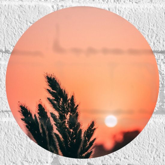 WallClassics - Muursticker Cirkel - Takje bij Ondergaande Zon - 20x20 cm Foto op Muursticker