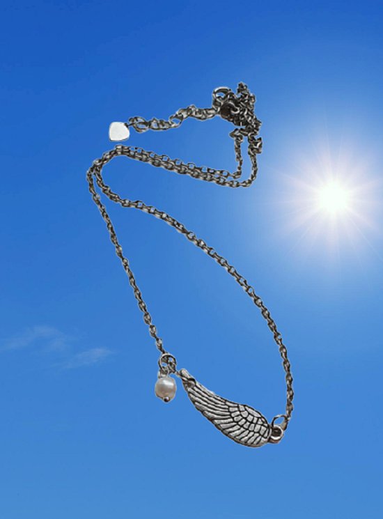 Carneool ketting hanger hart | Edelsteen sieraden