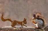 Geluksdier Eekhoorn/ Squirrel, Roest Metaal,1345, 209x350x2mm