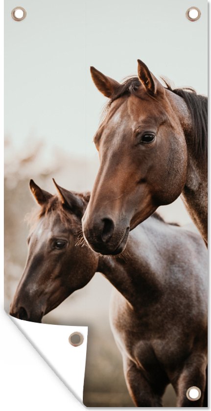 Tuinposter Paarden - Natuur - Bruin - 40x80 cm - Wanddecoratie Buiten - Tuinposter - Tuindoek - Schuttingposter - Tuinschilderij