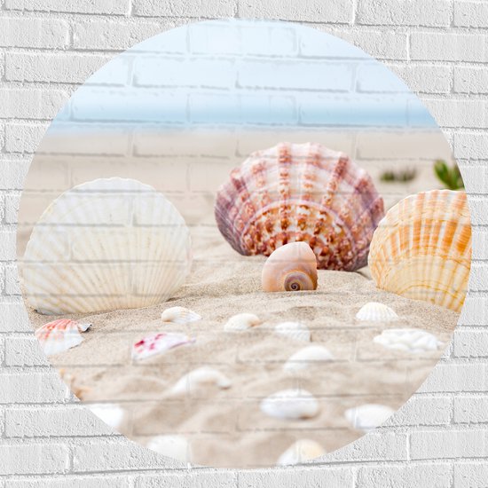 WallClassics - Muursticker Cirkel - Schelpjes in het Zand op het Strand - 100x100 cm Foto op Muursticker