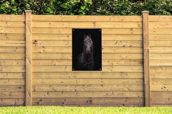 Portrait d'un cheval frison sur fond noir affiche de jardin toile en vrac 60x90 cm - Toile de jardin / Toile d'extérieur / Peintures d'extérieur (décoration de jardin)