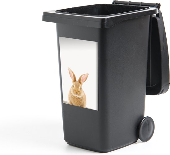 Container sticker Konijn - Baby konijn - Dieren - Kind - Meisjes - Jongens - 40x60 cm - Kliko sticker