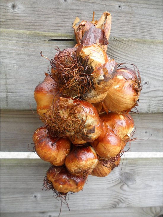 Gerookte knoflook streng - 500g uit Frankrijk - Lange houdbaarheid