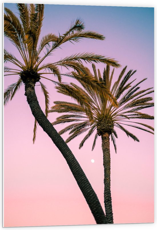 WallClassics - PVC Schuimplaat- Twee Palmbomen bij Roze-Blauwe Lucht - 60x90 cm Foto op PVC Schuimplaat