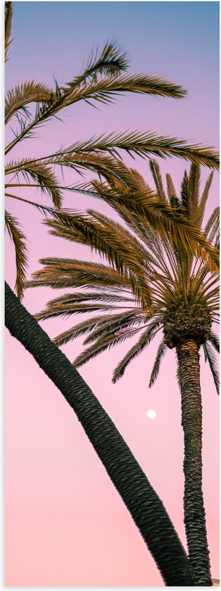 WallClassics - Poster (Mat) - Twee Palmbomen bij Roze-Blauwe Lucht - 20x60 cm Foto op Posterpapier met een Matte look