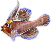 A MURANO STYLE GLASS Fish vis  OF A MANDARIN FISH Hoogte: 22,4 Breedte: 13,3 Lengte: 29