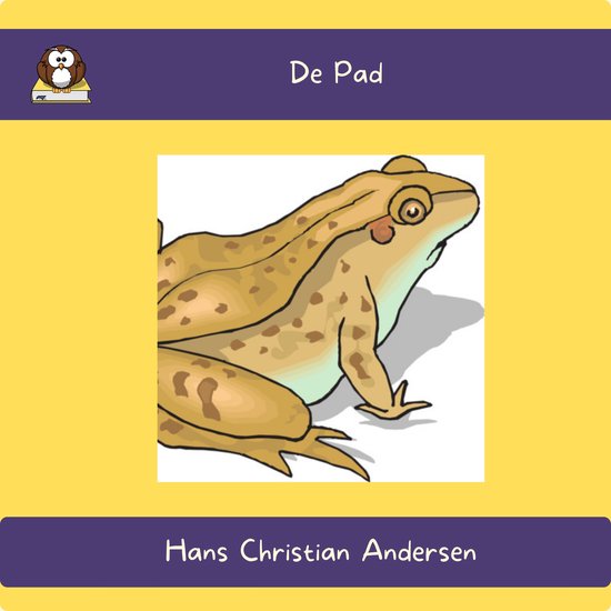 De Pad, Hans Christian Andersen | 9781669669357 | Boeken | bol