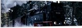 WallClassics - Dibond - Oude Stoomtrein in Besneeuwd Bos - 150x50 cm Foto op Aluminium (Wanddecoratie van metaal)