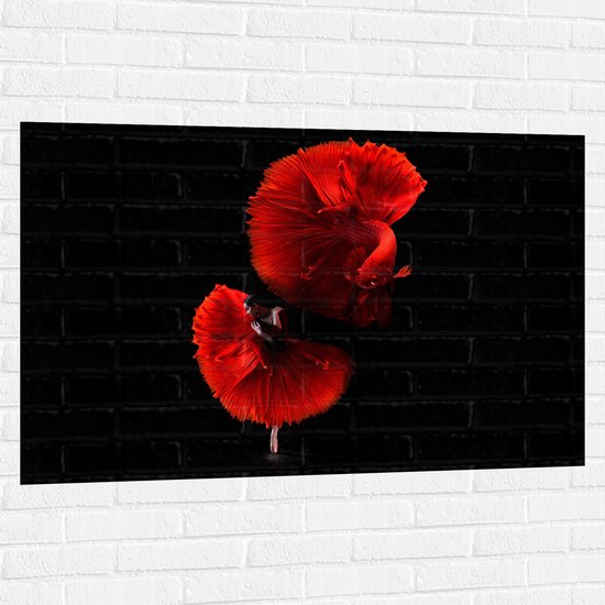 WallClassics - Muursticker - Danser met Rode Jurk en Vis - 120x80 cm Foto op Muursticker