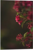 WallClassics - Drapeau - Fleurs Roses - 40x60 cm Photo sur Drapeau Polyester